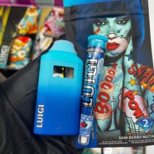 Kaufen Luigi 2G Disposable