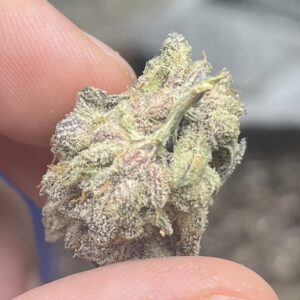 Kaufen Short Cakez Runtz,shortcake runtz strain,packwoods x runtz strawberry shortcake