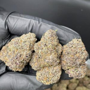 Kaufen Zaza strain, top 10 zaza strains